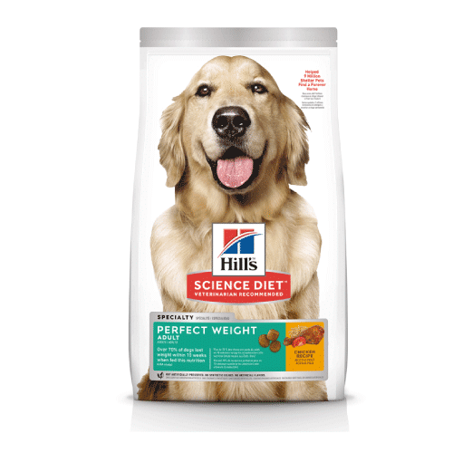 Dry Dog Food