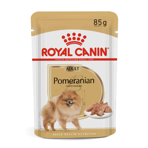Wet Dog Food
